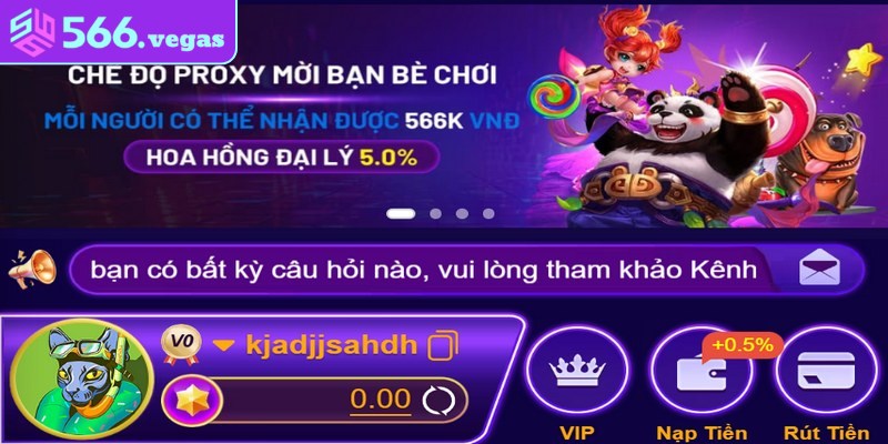 Ngay từ khi mới ra mắt nhưng nền tảng đã nhận được sự chú ý lớn 