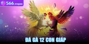 Đá Gà 12 Con Giáp