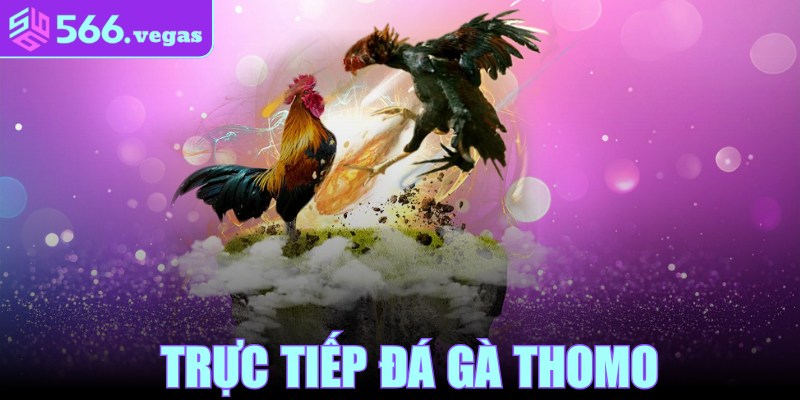 Trực Tiếp Đá Gà Thomo