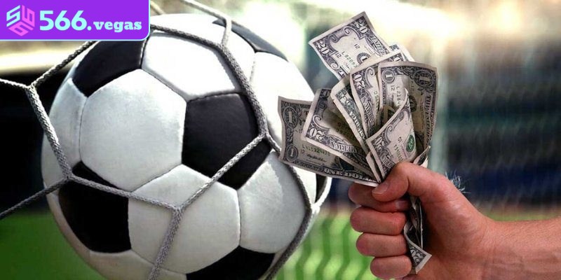 Cách đọc với hệ số dương rất đơn giản, dễ hiểu cho cược thủ